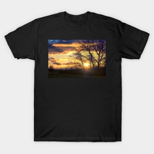 Sunshine Scattered T-Shirt